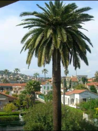 3 Festival De Cannes Joli 2 Pieces 4 Personnes — Vallauris