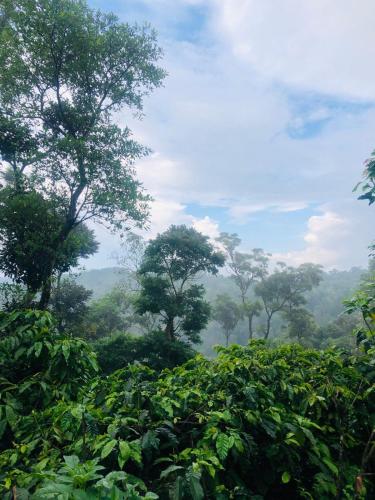 Swapna Estate Stay Coorg in Madikeri, India