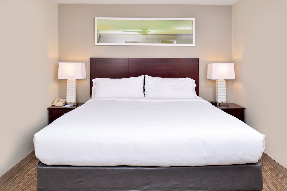 Holiday Inn Express Hotel & Suites Lafayette by IHG - photo 13