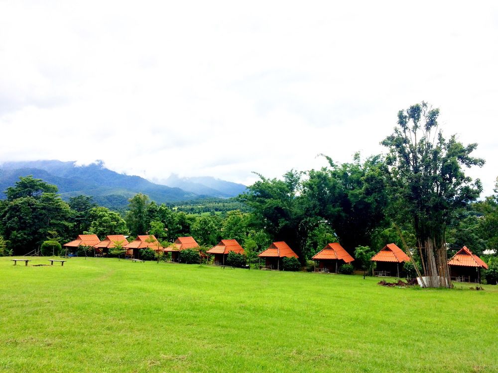 Bunny Pai in Pai, Thailand