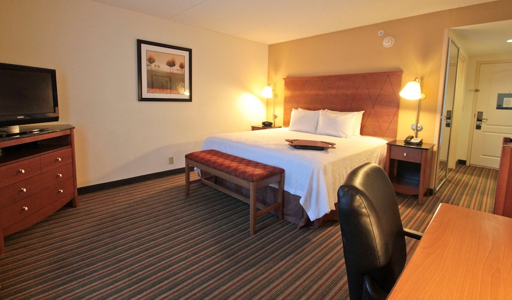 Hampton Inn Hampton Newport News - photo 11