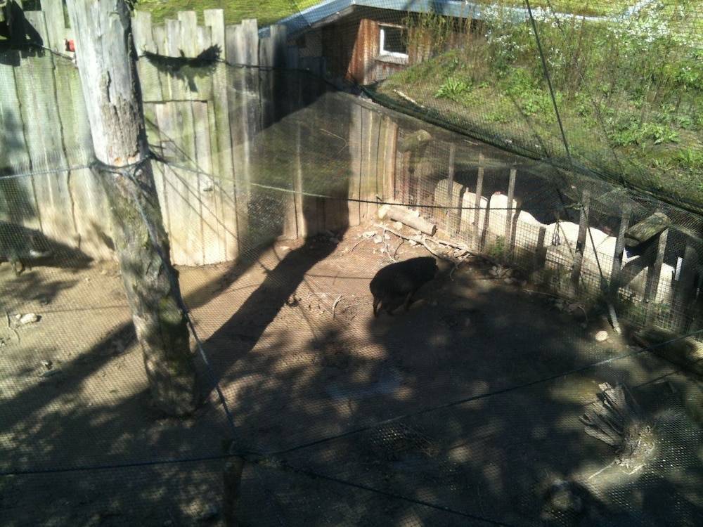 Children's activities