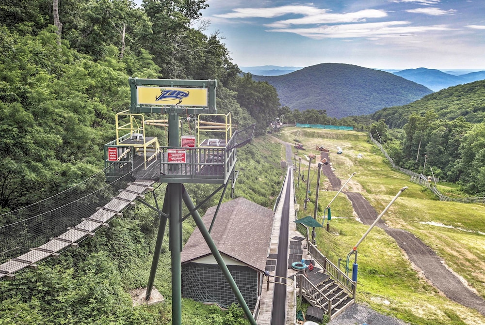 Wintergreen Resort Studio w Deck & Ski out Access - photo 19