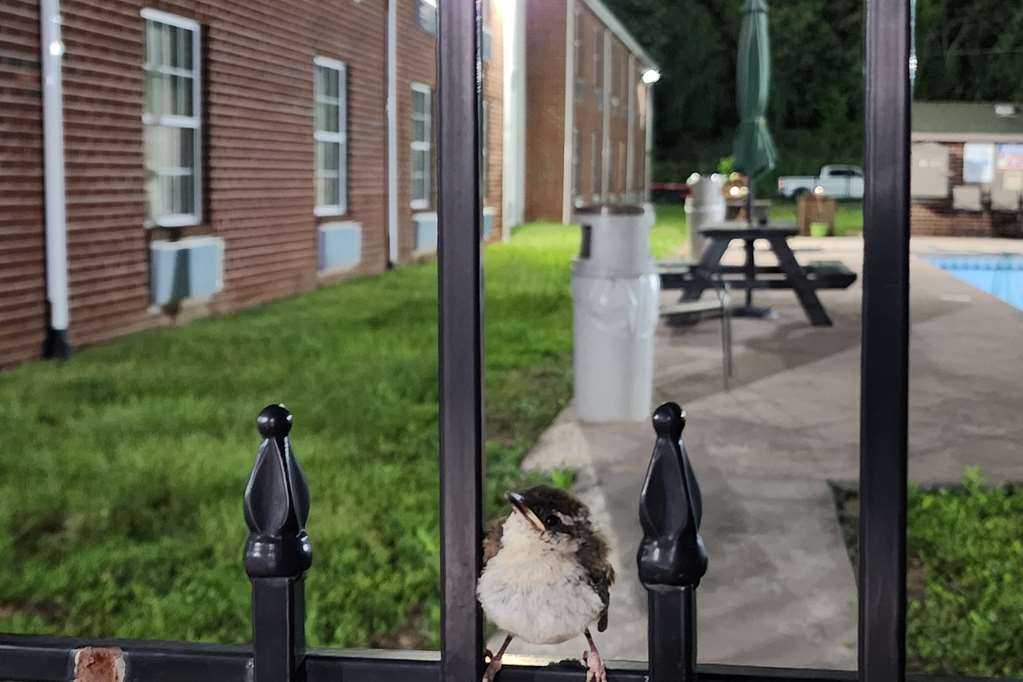 Quality Inn Dublin I 81 - photo 29