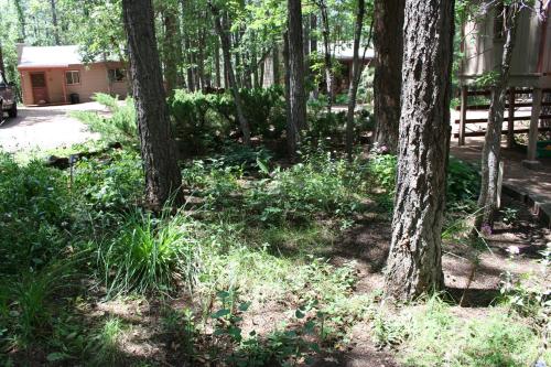 Northwoods Resort Cabins - photo 18