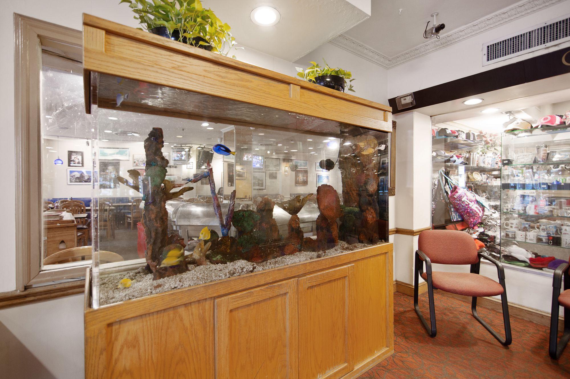 Hotel Harrington - photo 23