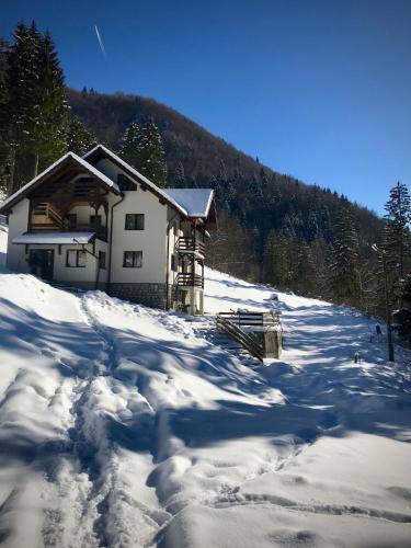 Cabana Caprioara Piatra Craiului — hotel in Dambovicioara