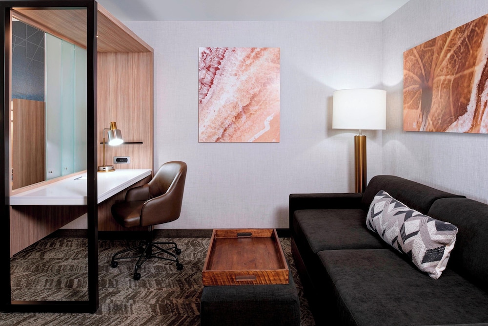 Springhill Suites Grand Rapids West - photo 10