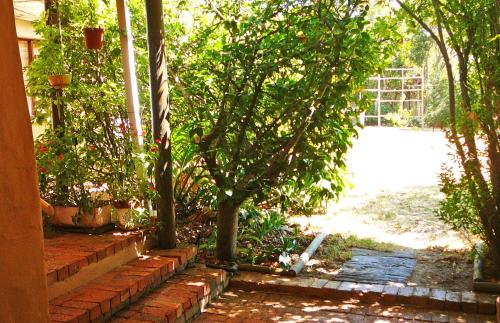 Vineyards Country Home B & B