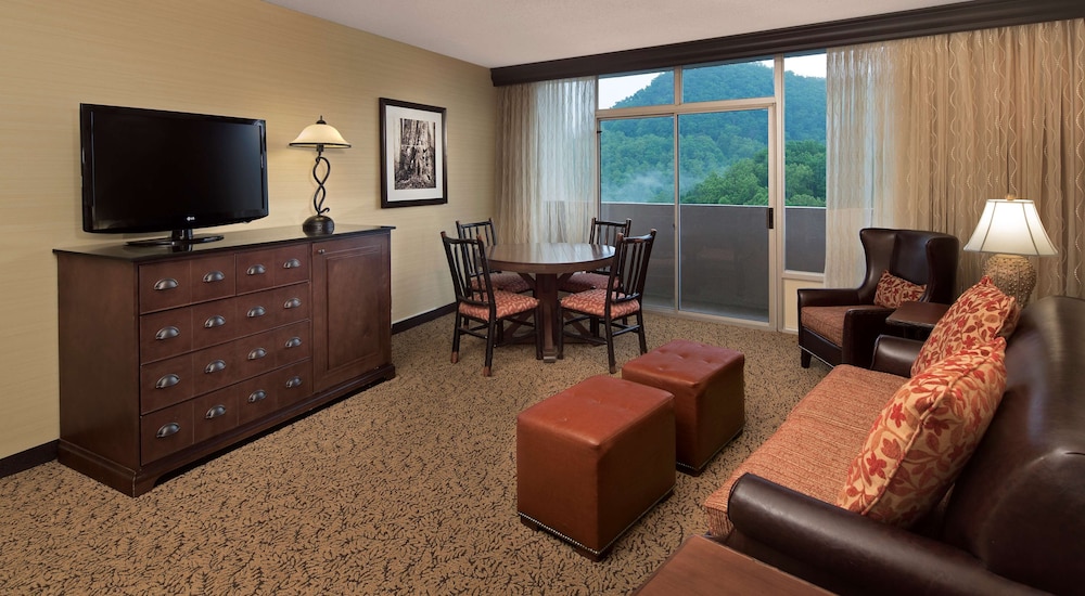 The Park Vista a DoubleTree by Hilton Hotel Gatlinburg - photo 9