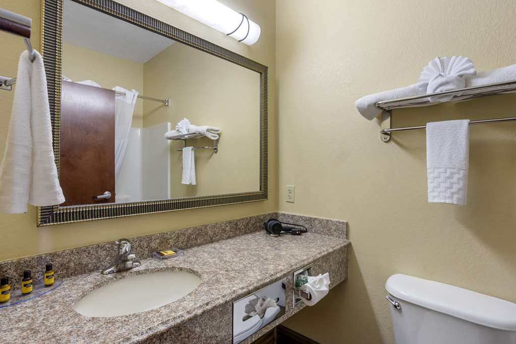 Best Western Plus Springfield Airport Inn - photo 21