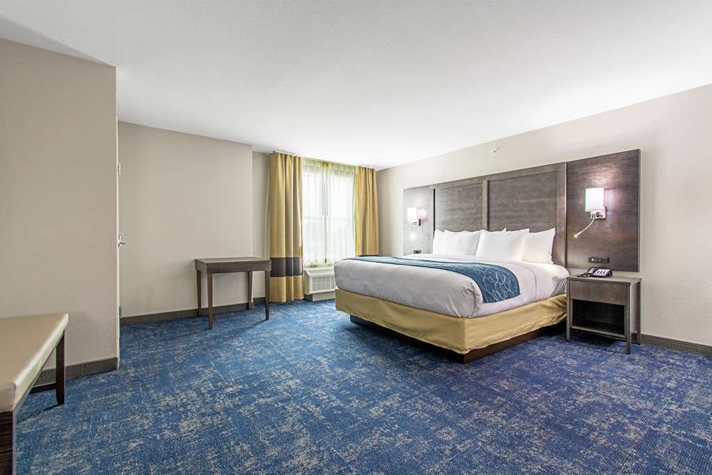 Comfort Suites Humble Houston IAH - photo 9