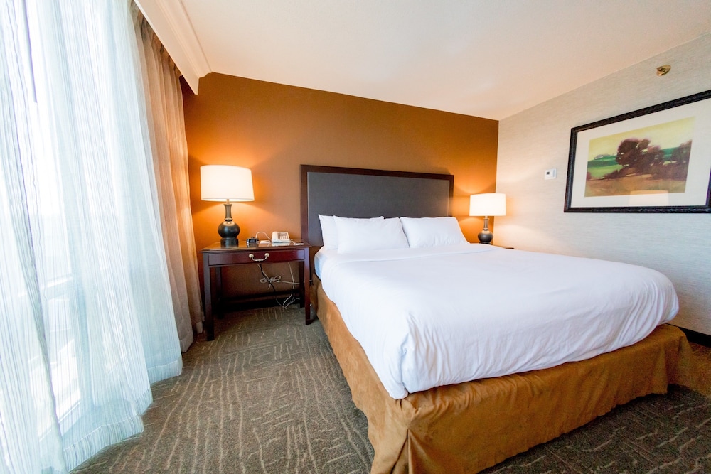 Embassy Suites by Hilton Lexington Green - photo 13