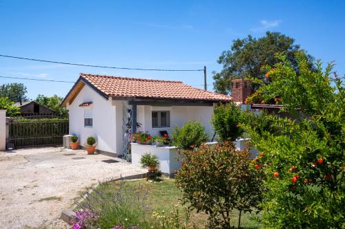 Ankica Sikici in Pula, Croatia