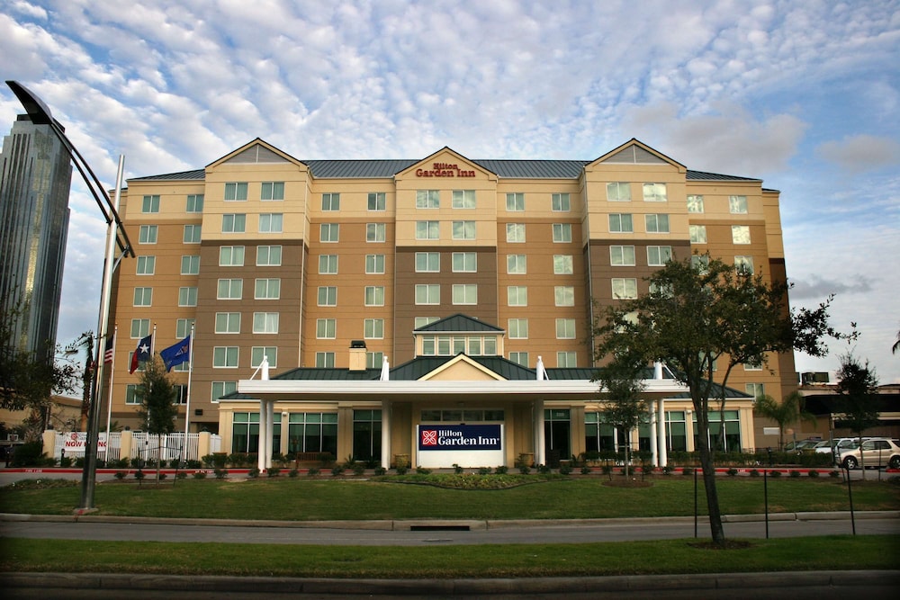 Hilton Garden Inn Houston Galleria Area - photo 54