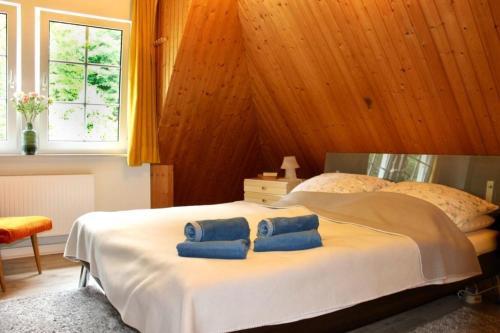 Ferienhaus Stefano — Bad Berleburg — photo 4