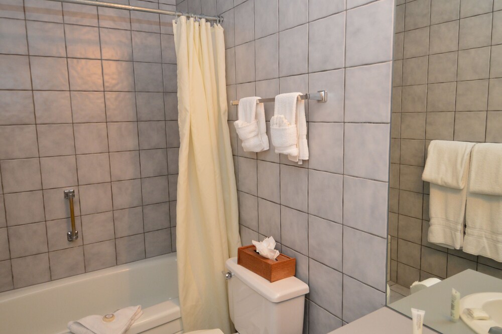 Alpenblick by Frias Properties of Aspen - photo 40