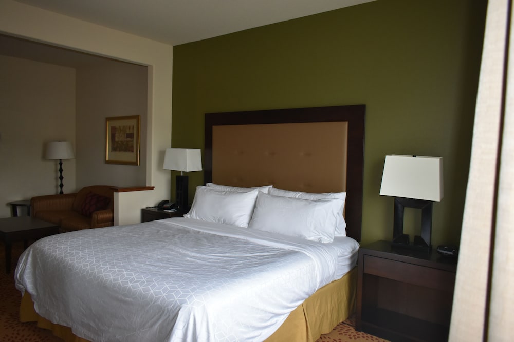 Holiday Inn Express & Suites Silt Rifle by IHG - photo 36
