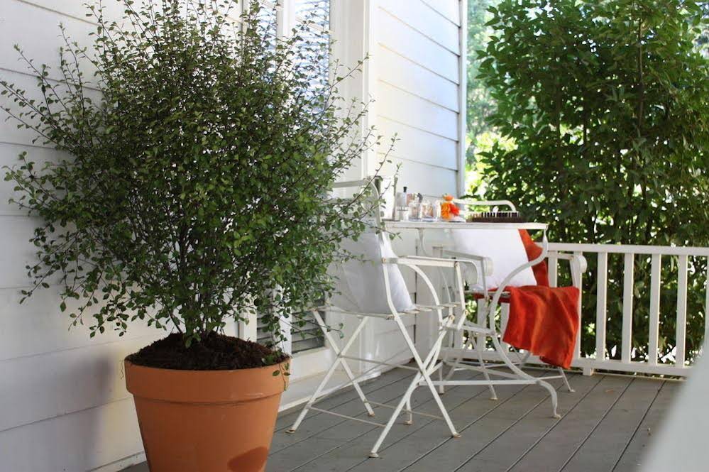 Healdsburg Modern Cottages - photo 23