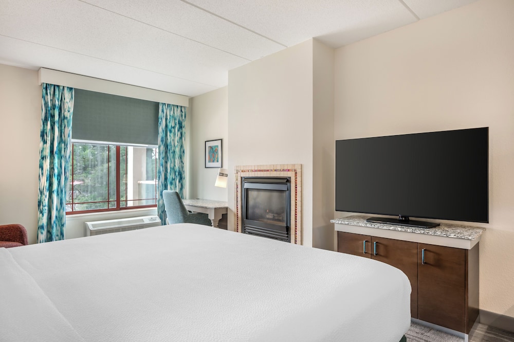 Hilton Garden Inn Wisconsin Dells - photo 21