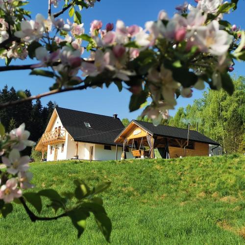 Domek Za Skałą in Kamesznica, Poland