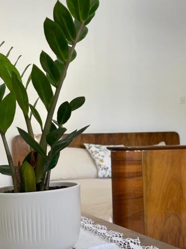 Hiša Vuga in Tolmin, Slovenia