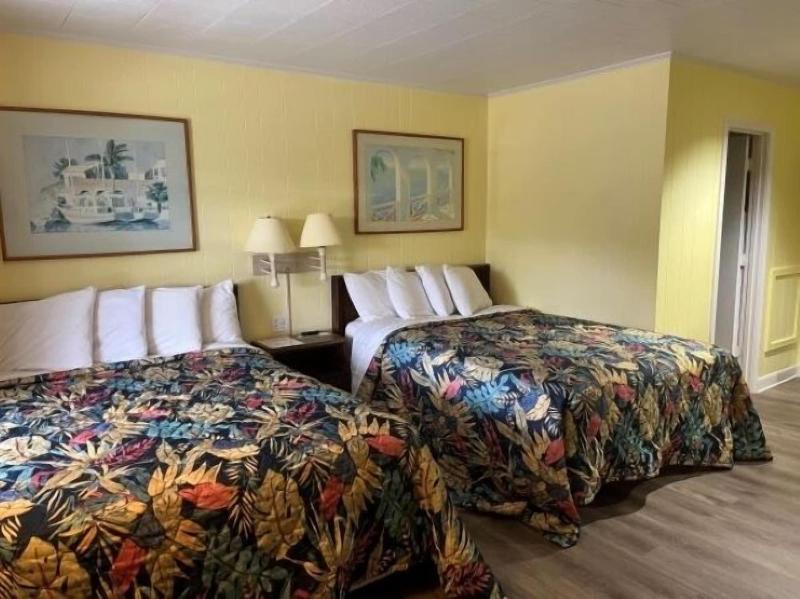 Swell Motel - photo 137