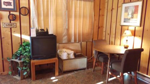 Alpine Motel - photo 9
