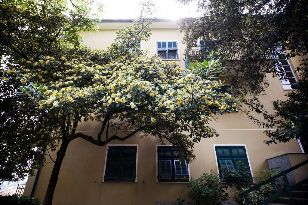 Pineta Iguana in Lavagna, Italy