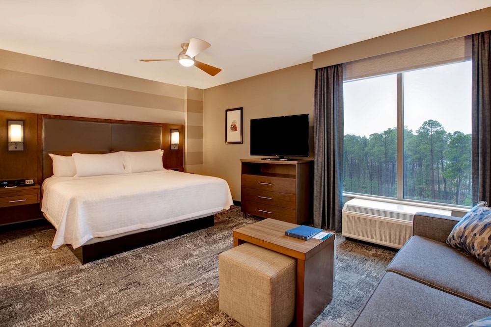Homewood Suites by Hilton Summerville - photo 11
