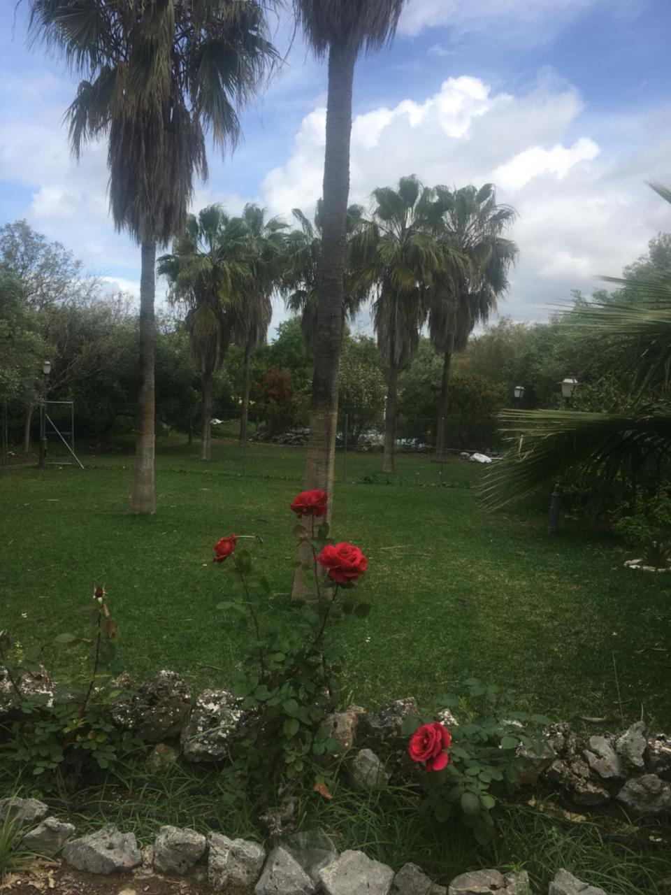 La Algazara — Villamartin — photo 2