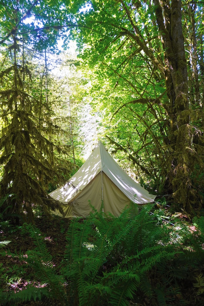 Olympic Glamping - photo 16