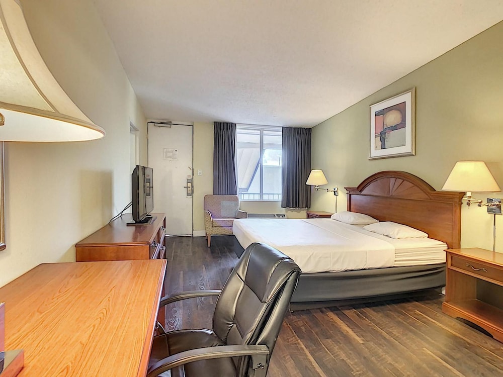 Stayable Orlando - photo 9