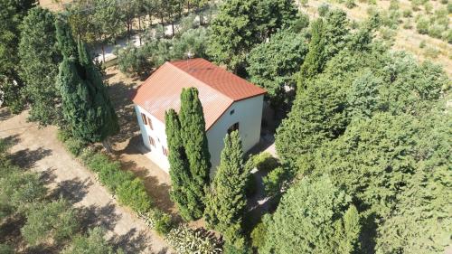 Agriturismo Tenuta Feraudo — 4-Star Luxury Hotel in San Demetrio Corone, Italy