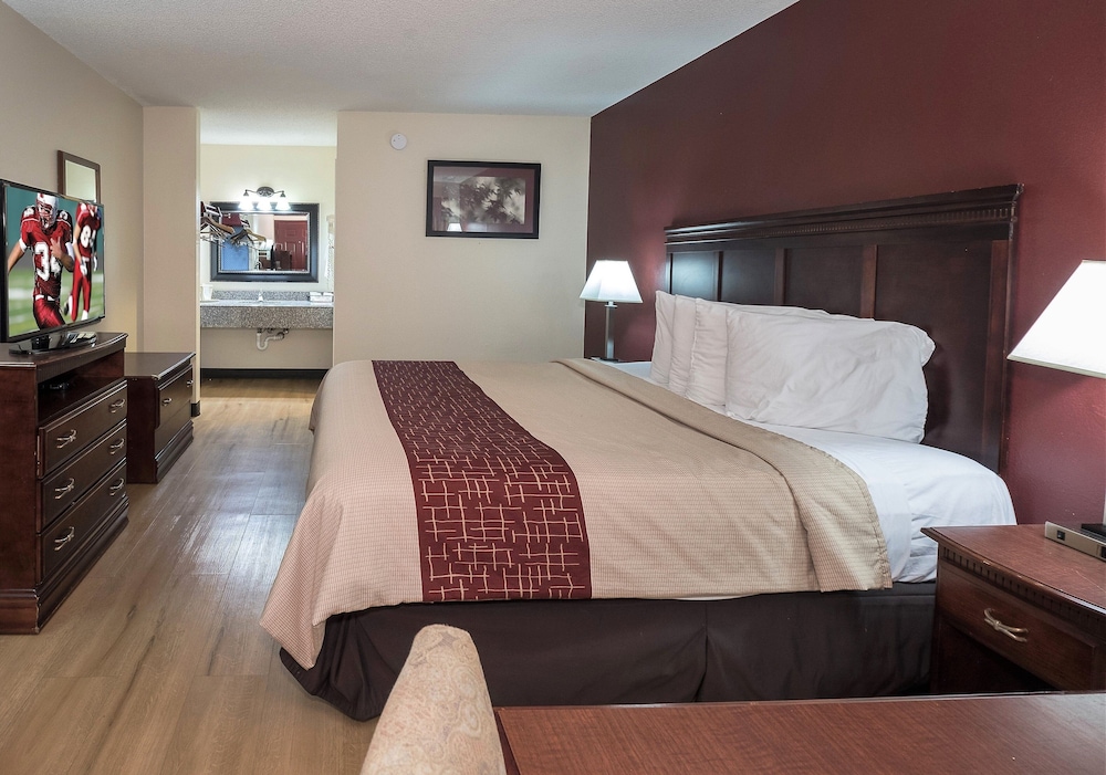 Red Roof Inn Chipley - photo 4