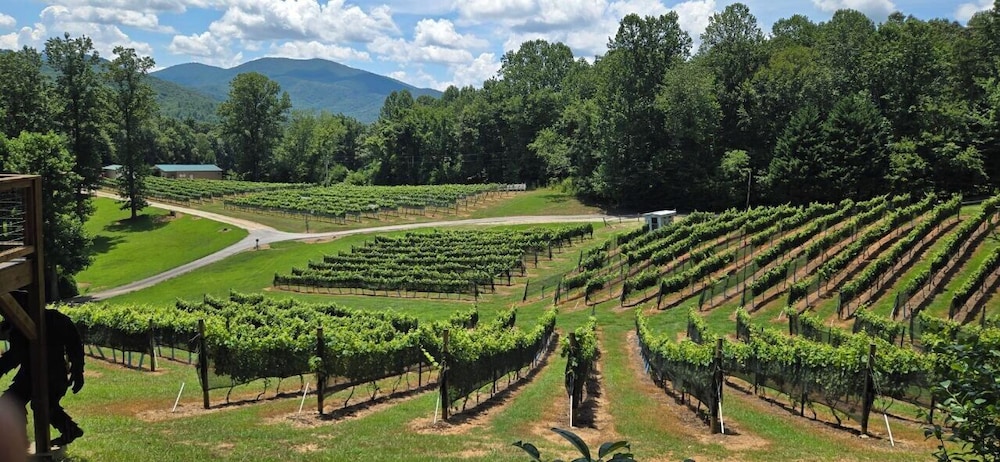 Paradise Hills Winery Resort & Spa - featured photo