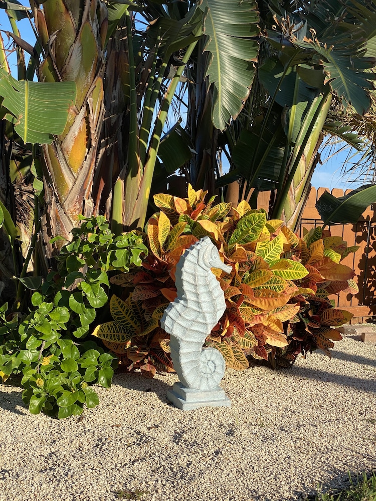 Seahorse Oceanfront Inn - photo 115