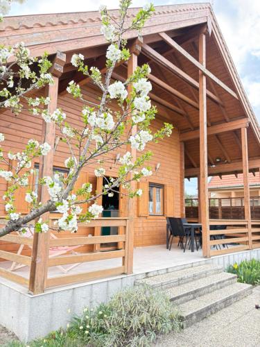 Ferienhaus Evelyne — hotel in Fertorakos
