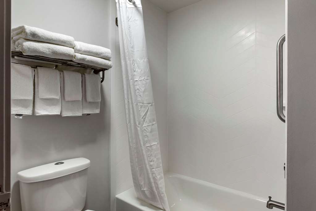 Comfort Inn Mount Pleasant Racine - photo 20