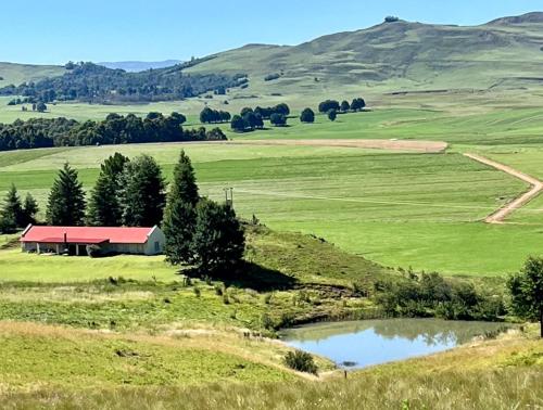 Adare 4×4 Recommended in Unknown City, South Africa