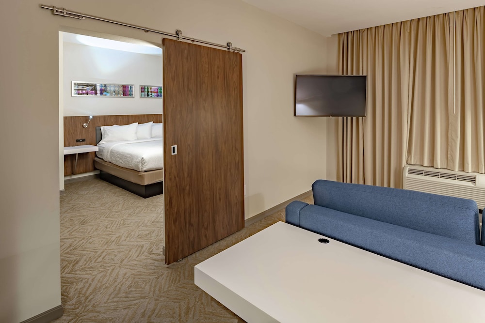 Hilton Garden Inn Dallas at Hurst Conference Center - photo 28