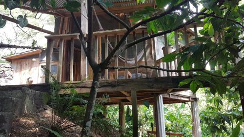 Utopia Eco Hotel — Lanquin — photo 3