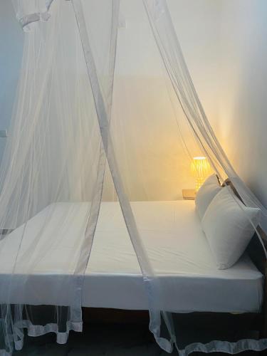 Lavender Resort — Unknown City — photo 4