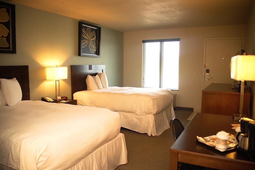 Unique Suites Hotel - photo 7