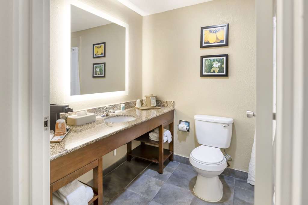 Comfort Inn Meridian Bonita Lakes - photo 12