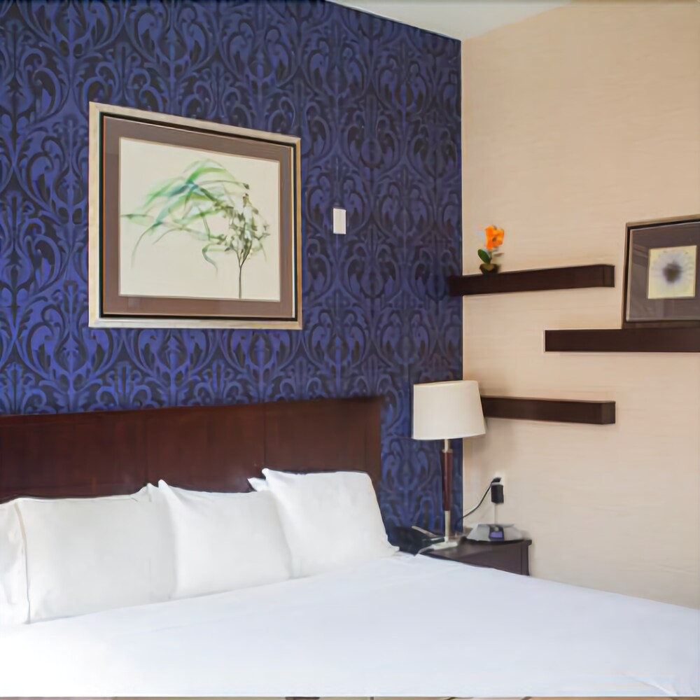 The Hotel By Gold Dust - photo 5