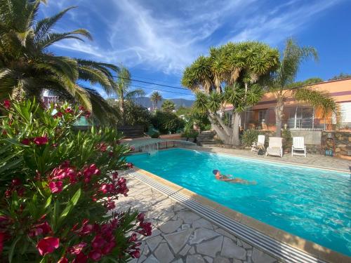Casa Palmera Canaria frA her Finca Sambal — 4-Star Luxury Hotel in El Paso, Spain