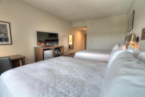 Holiday Inn & Suites Pigeon Forge Convention Center an IHG Hotel - photo 14