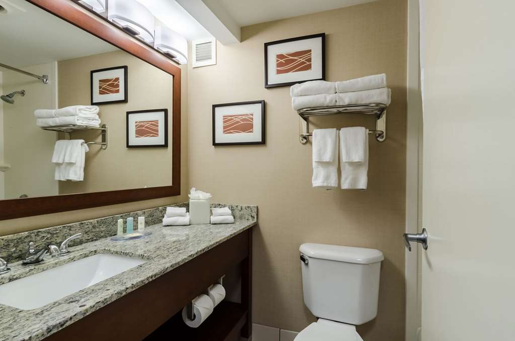 Comfort Inn Randolph Boston - photo 14