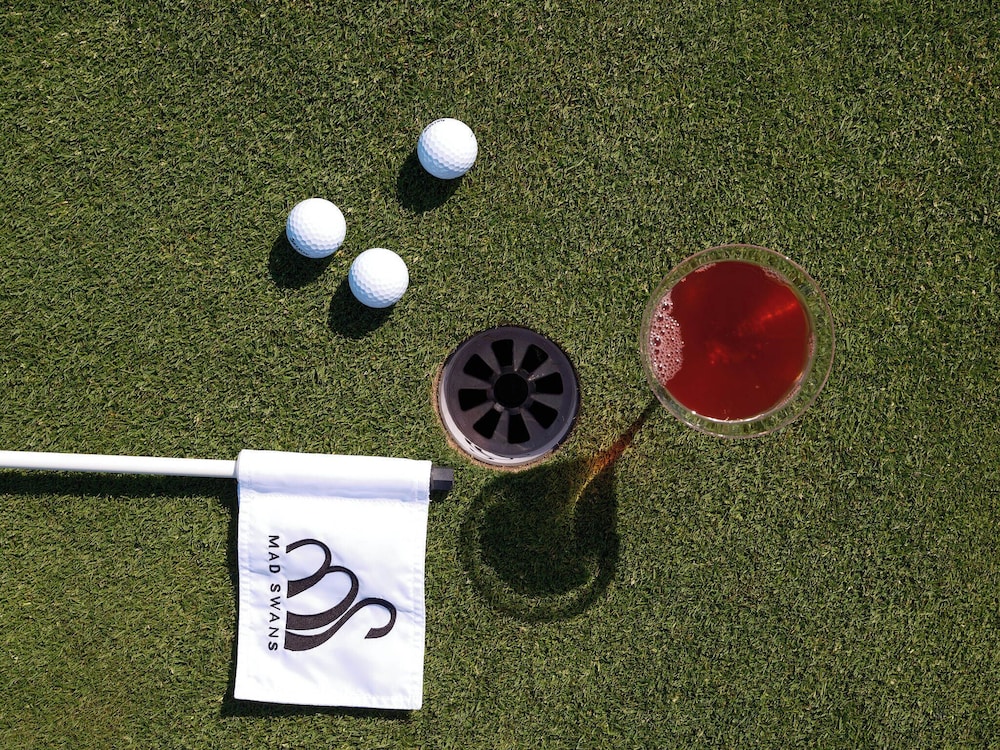 Mad Swans in The Mendips in Bristol, United Kingdom